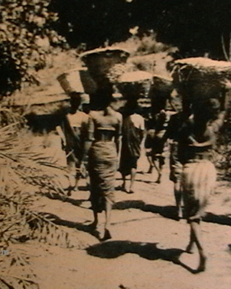 Working at the Chikku Farm