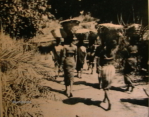 Working at the Chikku Farm