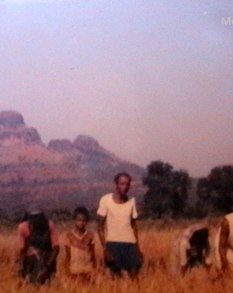 Romance in the Hills of the Western Ghats