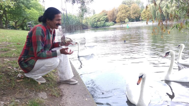 Read more about the article Communing with the Swans