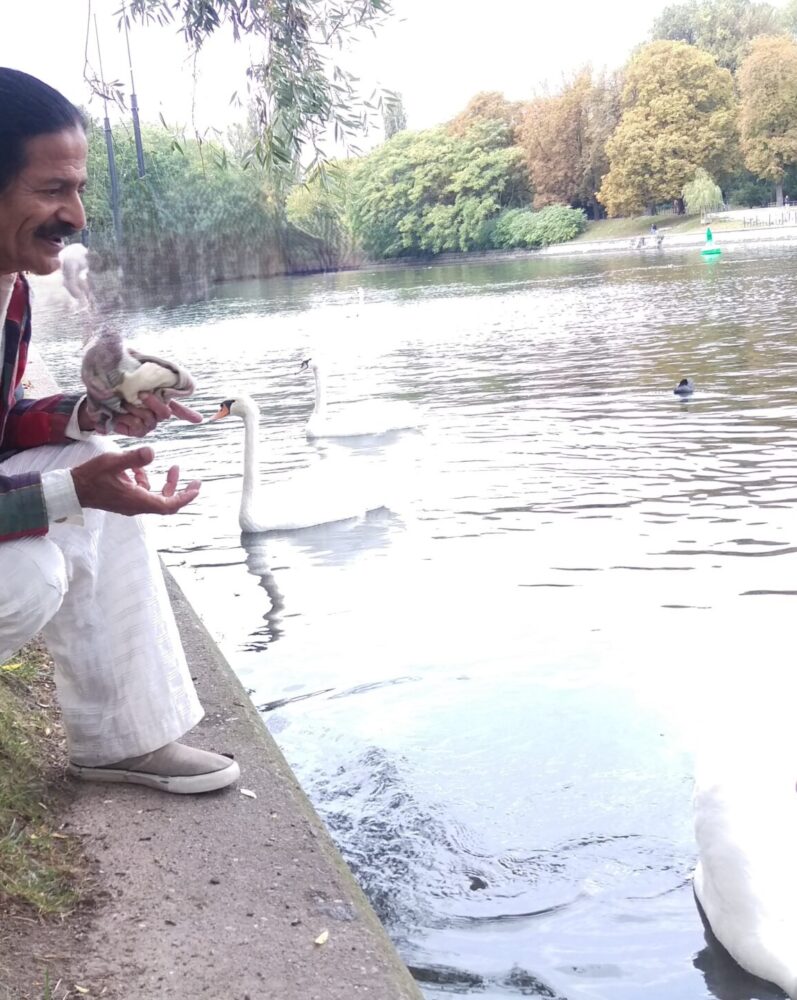 Communing with the Swans