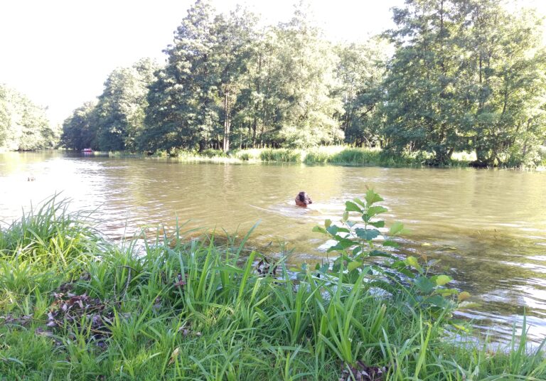 Read more about the article Aquarius